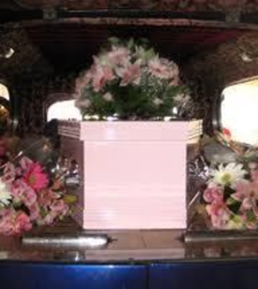 PinkAdultCoffin.JPG